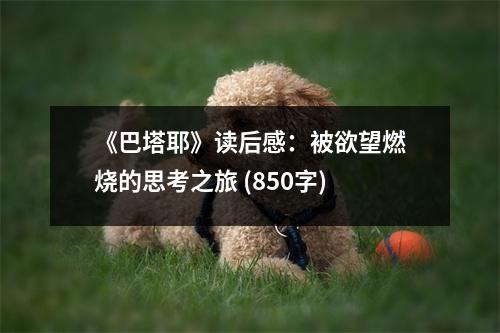 《巴塔耶》讀后感：被欲望燃燒的思考之旅 (850字)