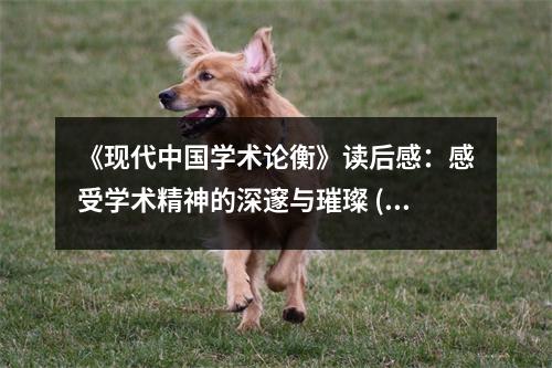 《現(xiàn)代中國學(xué)術(shù)論衡》讀后感：感受學(xué)術(shù)精神的深邃與璀璨 (700字)