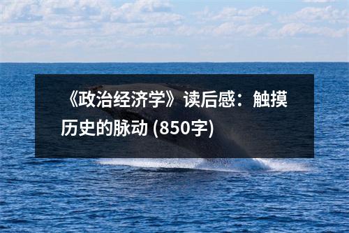 《政治經(jīng)濟學(xué)》讀后感：觸摸歷史的脈動 (850字)