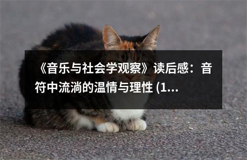 《音樂與社會學觀察》讀后感：音符中流淌的溫情與理性 (1100字)