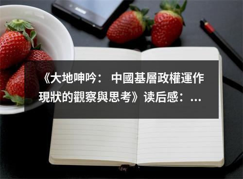 《大地呻吟： 中國基層政權(quán)運(yùn)作現(xiàn)狀的觀察與思考》讀后感：感受底層人民的無聲吶喊 (1000字)