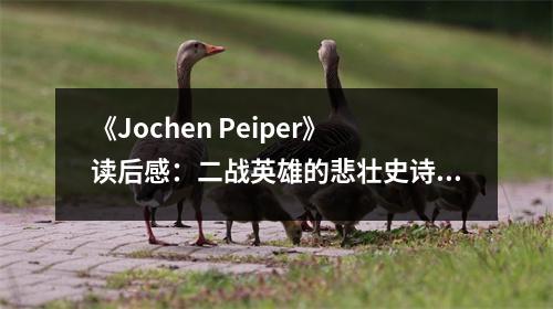 《Jochen Peiper》讀后感：二戰(zhàn)英雄的悲壯史詩(shī) (700字)