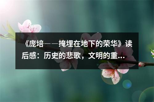 《龐培――掩埋在地下的榮華》讀后感：歷史的悲歌，文明的重生 (850字)