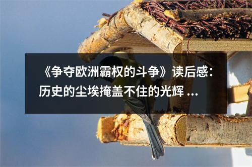《爭(zhēng)奪歐洲霸權(quán)的斗爭(zhēng)》讀后感：歷史的塵埃掩蓋不住的光輝 (850字)