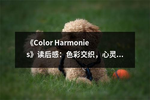《Color Harmonies》讀后感：色彩交織，心靈共鳴 (850字)