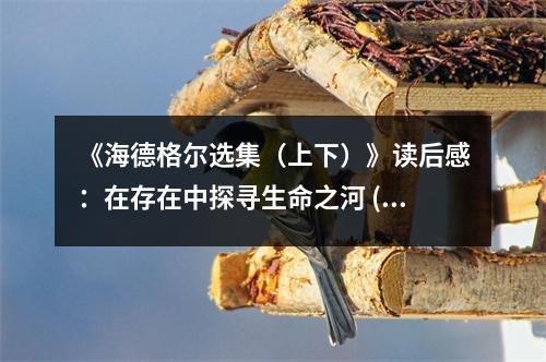 《海德格爾選集（上下）》讀后感：在存在中探尋生命之河 (850字)