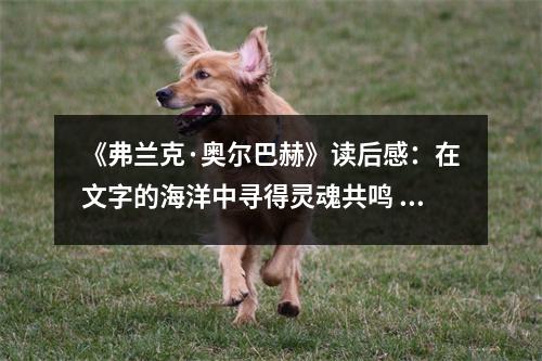 《弗蘭克·奧爾巴赫》讀后感：在文字的海洋中尋得靈魂共鳴 (800字)