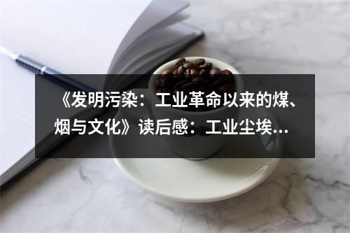 《發(fā)明污染：工業(yè)革命以來(lái)的煤、煙與文化》讀后感：工業(yè)塵埃映照歷史滄桑 (850字)