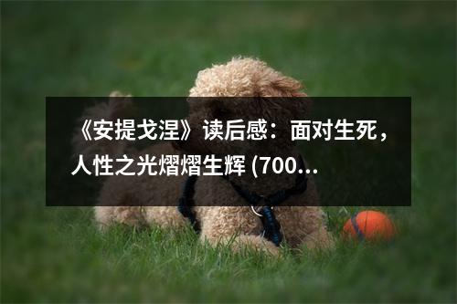 《安提戈涅》讀后感：面對(duì)生死，人性之光熠熠生輝 (700字)