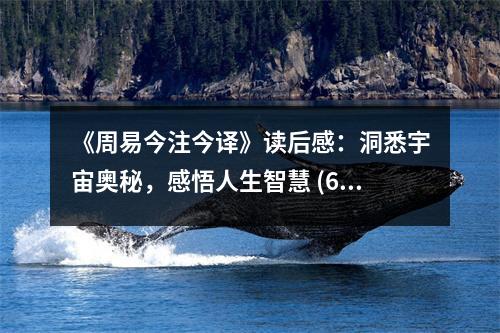 《周易今注今譯》讀后感：洞悉宇宙奧秘，感悟人生智慧 (650字)