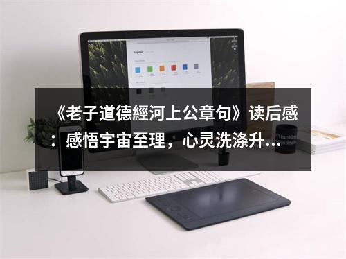 《老子道德經(jīng)河上公章句》讀后感：感悟宇宙至理，心靈洗滌升華 (850字)
