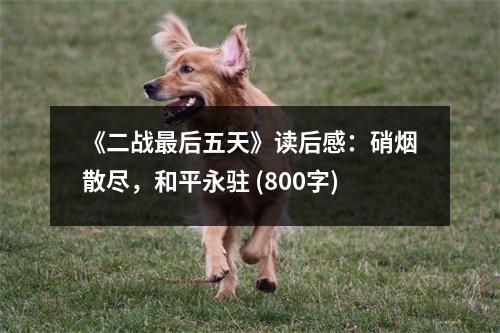 《二戰(zhàn)最后五天》讀后感：硝煙散盡，和平永駐 (800字)