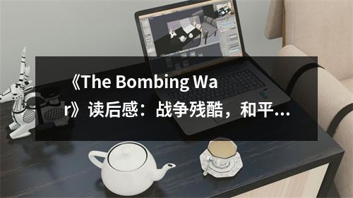《The Bombing War》讀后感：戰(zhàn)爭殘酷，和平可貴 (700字)