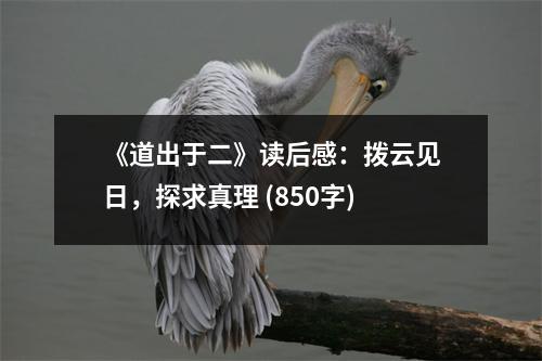 《道出于二》讀后感：撥云見日，探求真理 (850字)