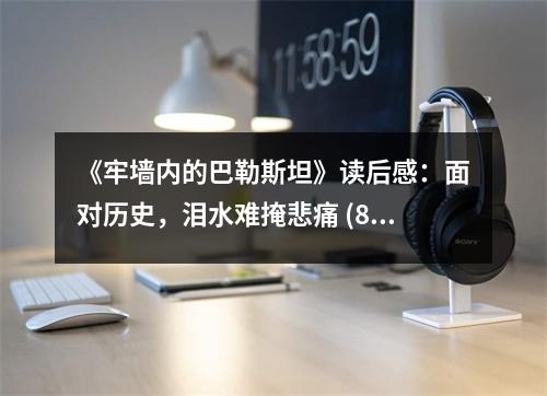 《牢墻內的巴勒斯坦》讀后感：面對歷史，淚水難掩悲痛 (800字)