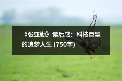 《張亞勤》讀后感：科技巨擘的追夢人生 (750字)