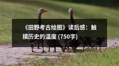 《田野考古繪圖》讀后感：觸摸歷史的溫度 (750字)