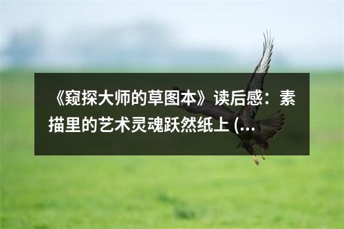 《窺探大師的草圖本》讀后感：素描里的藝術(shù)靈魂躍然紙上 (1100字)