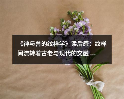 《神與獸的紋樣學》讀后感：紋樣間流轉(zhuǎn)著古老與現(xiàn)代的交融 (850字)
