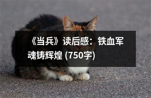《當(dāng)兵》讀后感：鐵血軍魂鑄輝煌 (750字)