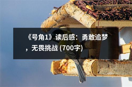 《號角1》讀后感：勇敢追夢，無畏挑戰(zhàn) (700字)
