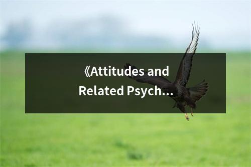 《Attitudes and Related Psychosocial Constructs》讀后感：心靈深處的共鳴 (1000字)