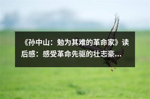 《孫中山：勉為其難的革命家》讀后感：感受革命先驅(qū)的壯志豪情 (750字)