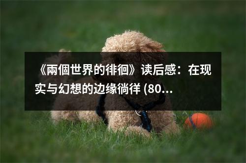 《兩個世界的徘徊》讀后感：在現(xiàn)實與幻想的邊緣徜徉 (800字)