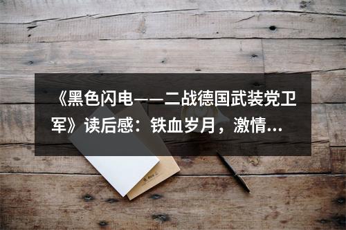 《黑色閃電——二戰(zhàn)德國(guó)武裝黨衛(wèi)軍》讀后感：鐵血?dú)q月，激情燃燒 (1050字)