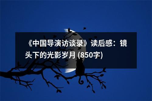 《中國導演訪談錄》讀后感：鏡頭下的光影歲月 (850字)
