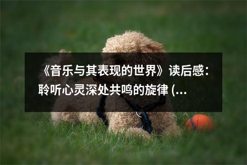 《音樂與其表現(xiàn)的世界》讀后感：聆聽心靈深處共鳴的旋律 (800字)