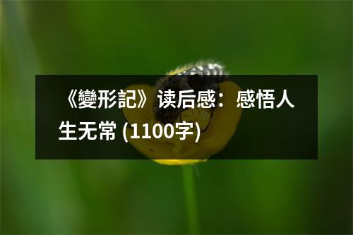 《變形記》讀后感：感悟人生無(wú)常 (1100字)