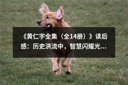 《黃仁宇全集（全14冊(cè)）》讀后感：歷史洪流中，智慧閃耀光芒 (750字)