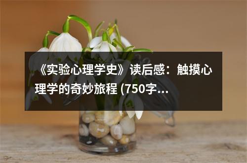 《實(shí)驗(yàn)心理學(xué)史》讀后感：觸摸心理學(xué)的奇妙旅程 (750字)