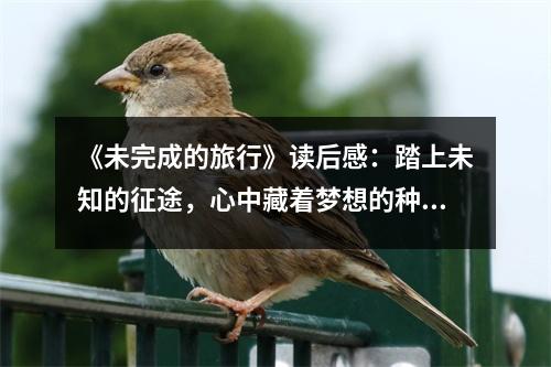 《未完成的旅行》讀后感：踏上未知的征途，心中藏著夢想的種子 (750字)