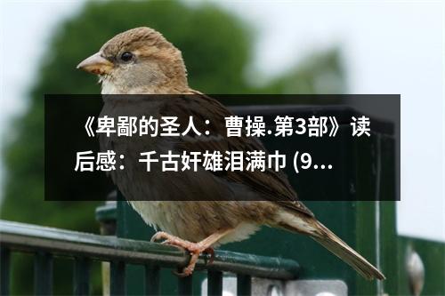 《卑鄙的圣人：曹操.第3部》讀后感：千古奸雄淚滿巾 (900字)