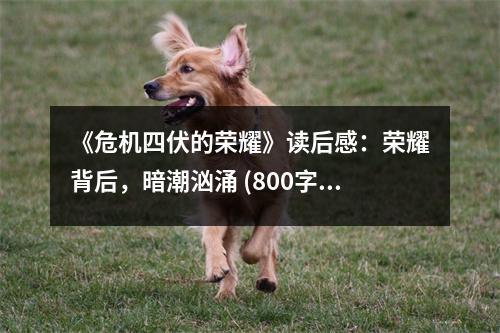 《危機(jī)四伏的榮耀》讀后感：榮耀背后，暗潮洶涌 (800字)