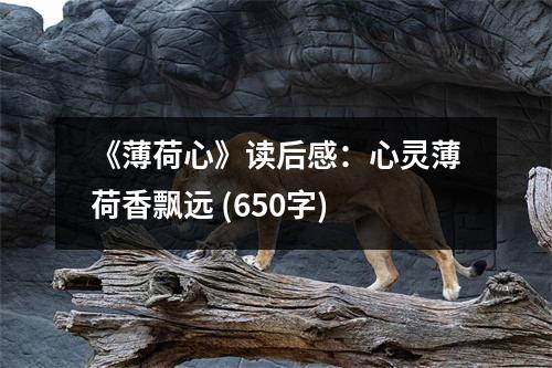 《薄荷心》讀后感：心靈薄荷香飄遠 (650字)