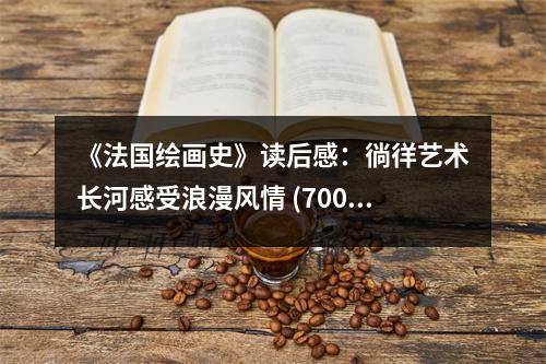 《法國繪畫史》讀后感：徜徉藝術(shù)長河感受浪漫風(fēng)情 (700字)