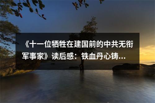 《十一位犧牲在建國(guó)前的中共無銜軍事家》讀后感：鐵血丹心鑄輝煌 (800字)