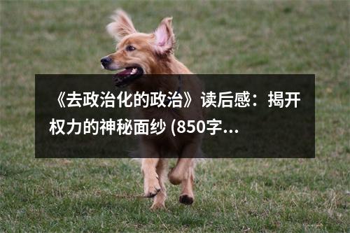 《去政治化的政治》讀后感：揭開權(quán)力的神秘面紗 (850字)