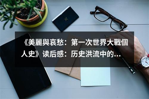 《美麗與哀愁：第一次世界大戰(zhàn)個(gè)人史》讀后感：歷史洪流中的個(gè)體悲歡 (850字)