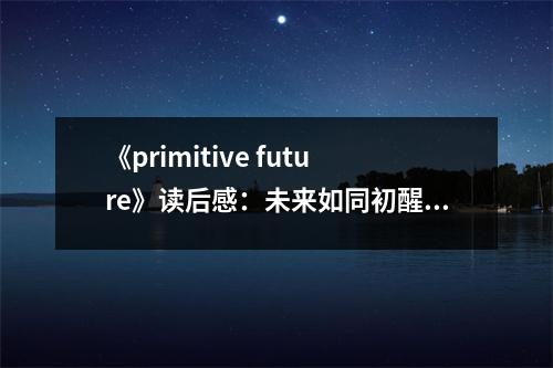 《primitive future》讀后感：未來(lái)如同初醒的夢(mèng) (850字)