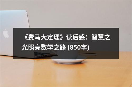 《費(fèi)馬大定理》讀后感：智慧之光照亮數(shù)學(xué)之路 (850字)