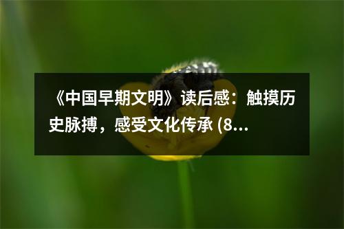 《中國早期文明》讀后感：觸摸歷史脈搏，感受文化傳承 (850字)