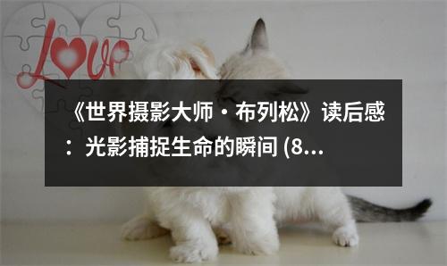 《世界攝影大師?布列松》讀后感：光影捕捉生命的瞬間 (800字)