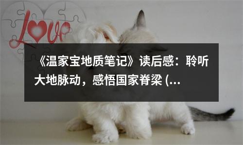 《溫家寶地質筆記》讀后感：聆聽大地脈動，感悟國家脊梁 (950字)
