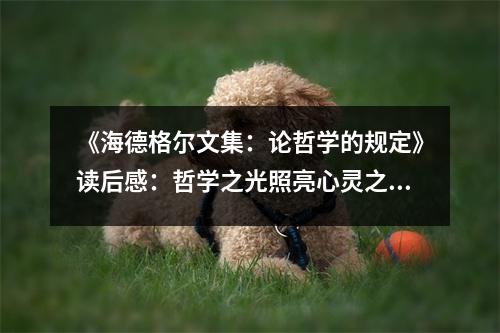 《海德格爾文集：論哲學(xué)的規(guī)定》讀后感：哲學(xué)之光照亮心靈之路 (1050字)