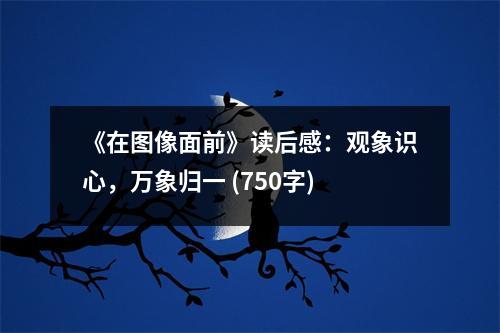 《在圖像面前》讀后感：觀象識心，萬象歸一 (750字)