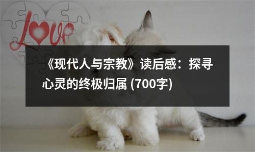 《現(xiàn)代人與宗教》讀后感：探尋心靈的終極歸屬 (700字)